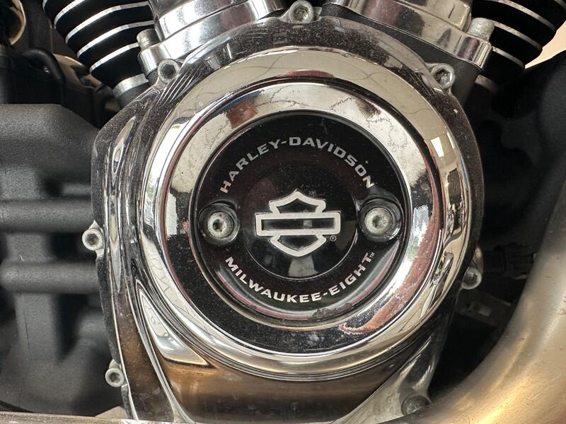 HARLEY-DAVIDSON Softail