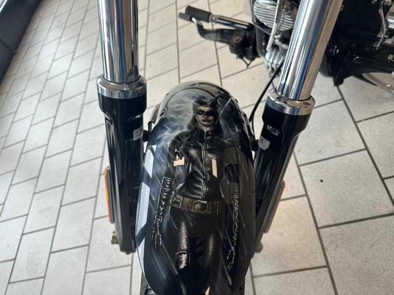 HARLEY-DAVIDSON Softail